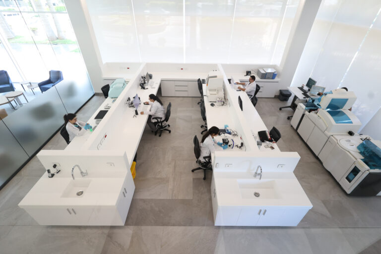 Lab